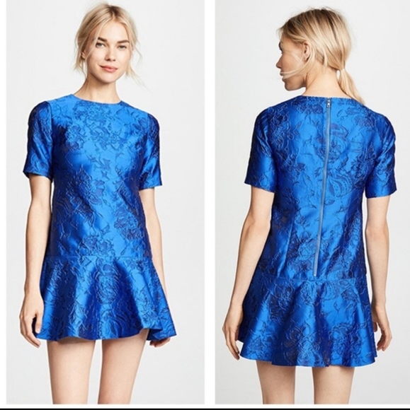 Alice + Olivia Dresses & Skirts - Alice + Olivia Blue Esther Ruffle Hem Floral Short Dress Size 10